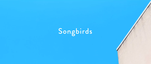 Songbirds.png